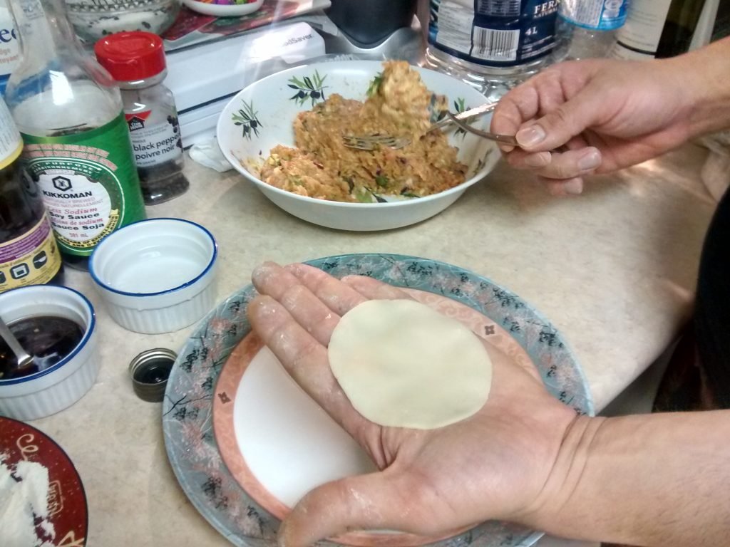 dumpling wrapper on open hand