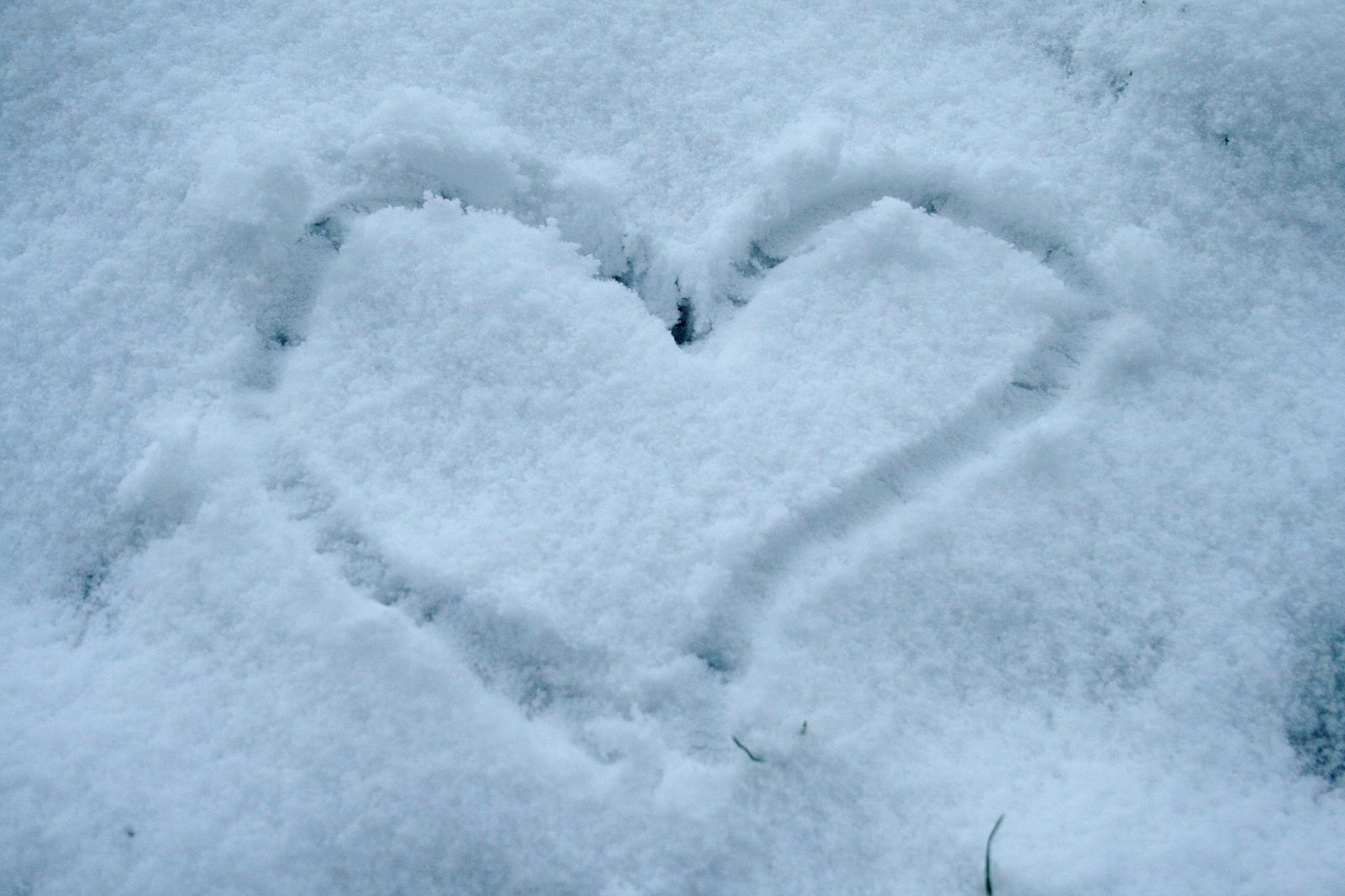 6 Awesome Ways To Occupy Yourself On A Snow Day!