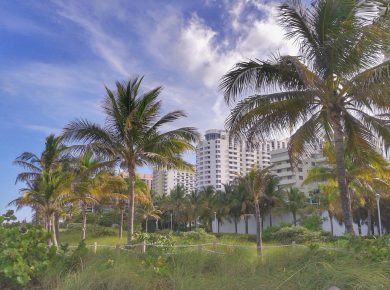 How to have fun in Miami Beach on a budget