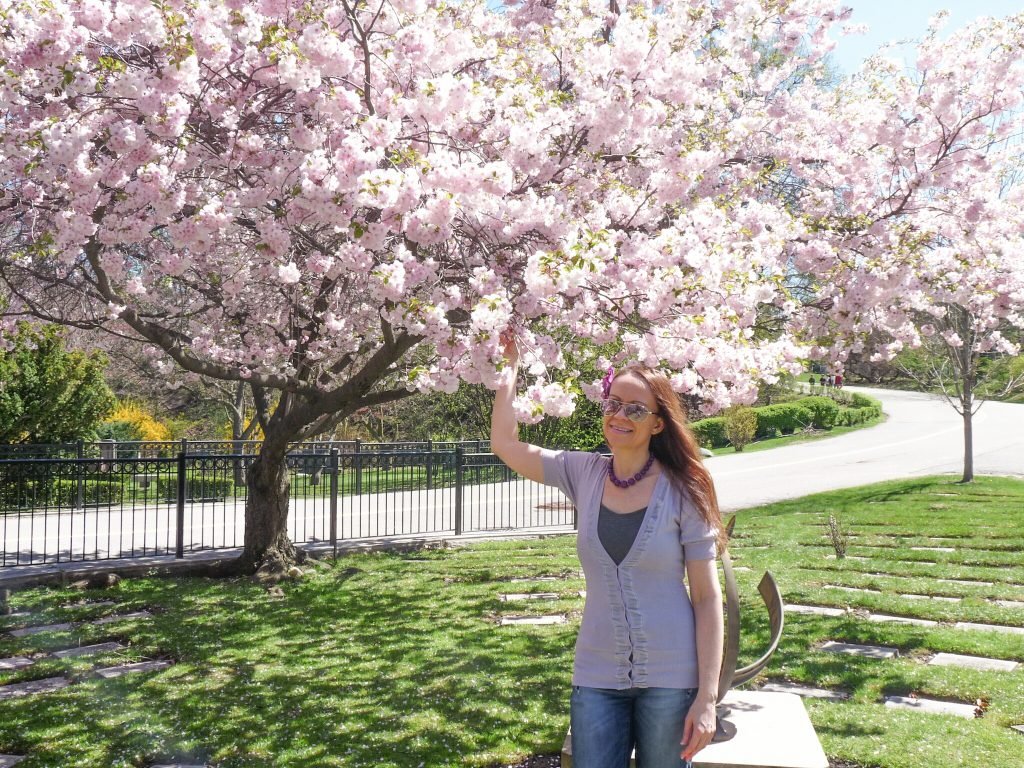 11 Places you can find beautiful cherry blossoms in Toronto! #cherryblossoms #sakura #Toronto #travel