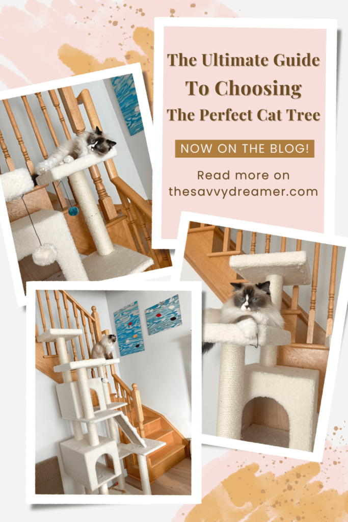 Read my guide to help you pick the perfect cat tree for your feline friend!